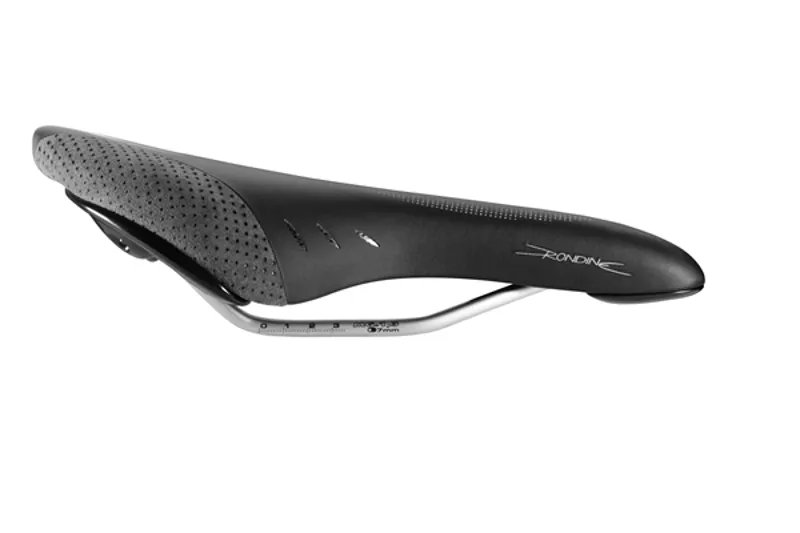 fizik rondine