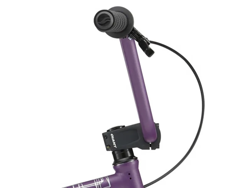 Giant 2012 Method 01 BMX-3