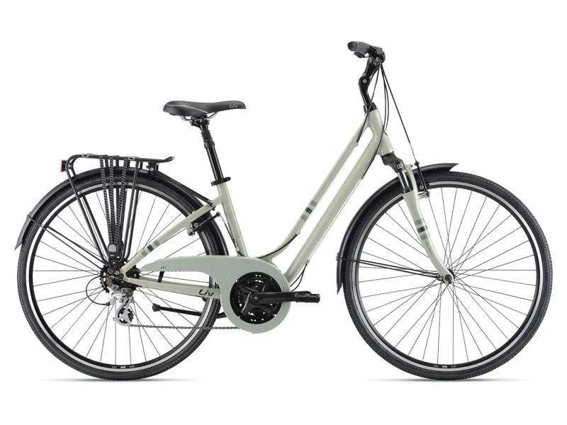 2021 Liv Flourish FS 2 Womens Hybrid Bike in Grey