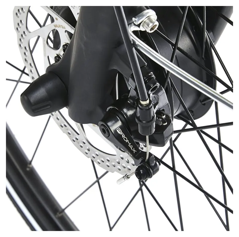 Ezego Step NX 7 Speed Hub Geared Electric Bike-13