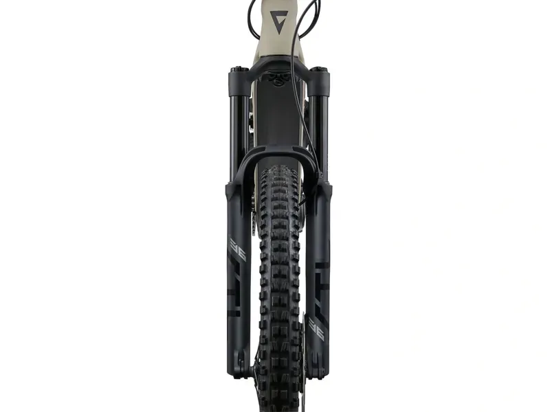 Giant Stance E+ 1 Electric Full Suspension MTB in Almond/Black-2