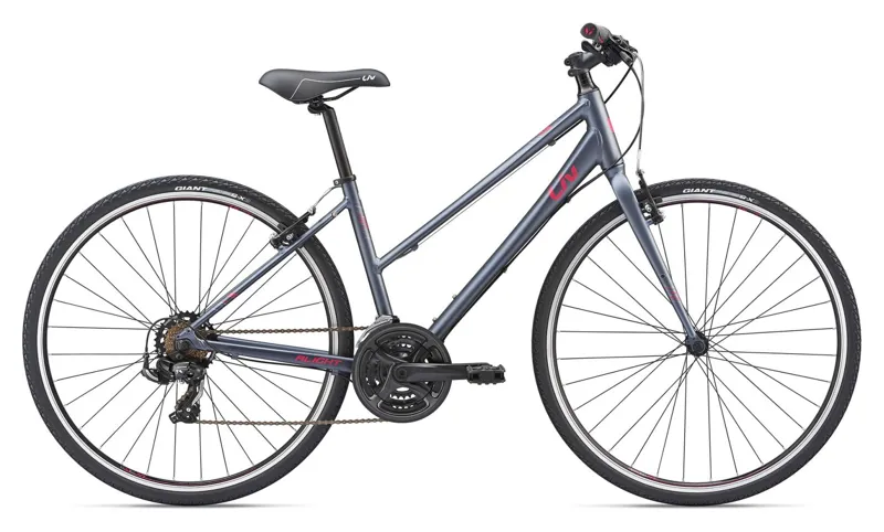 2019 Liv Alight 3 Womens Hybrid bike in Grey