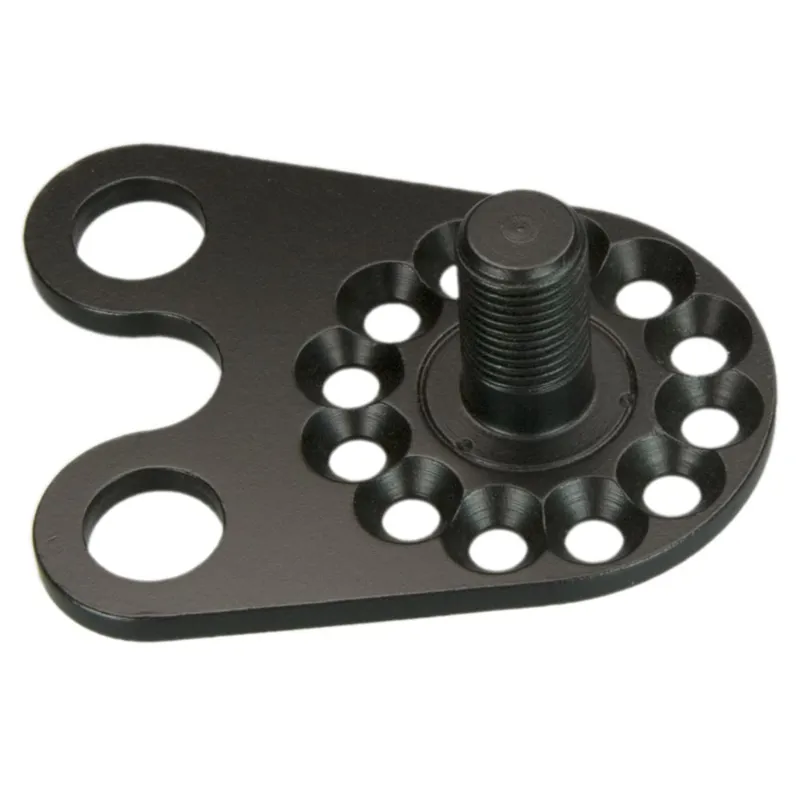 Rohloff TS Speedhub Axle Disc in Black