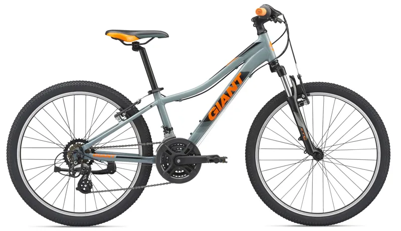 2019 Giant XtC Jr 1 24 Kids Bike in Grey