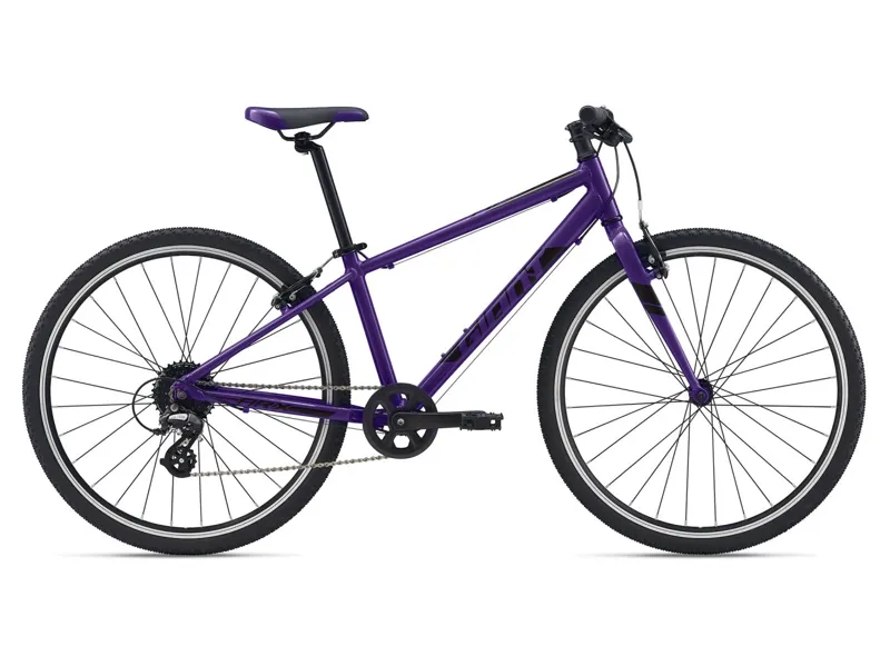 2021 Giant ARX 26 Kids Bike in Purple