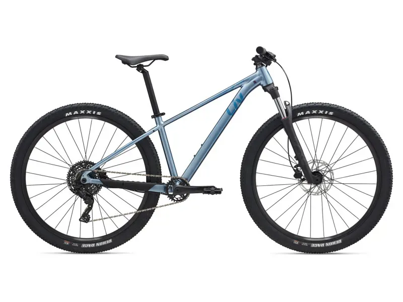 Liv Tempt 2 Mountain Bike In Frost Silver 27.5