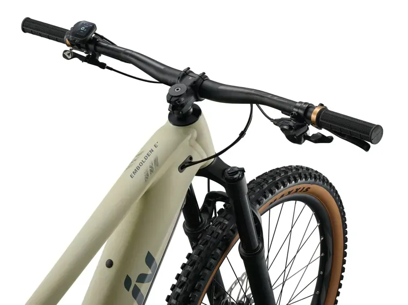 Liv Embolden E+ 1 Electric Full Suspension MTB in Pale Moss-2