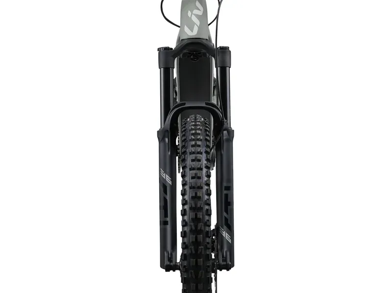 Liv Embolden E+ 2 Electric Full Suspension MTB in Slate Gray-2