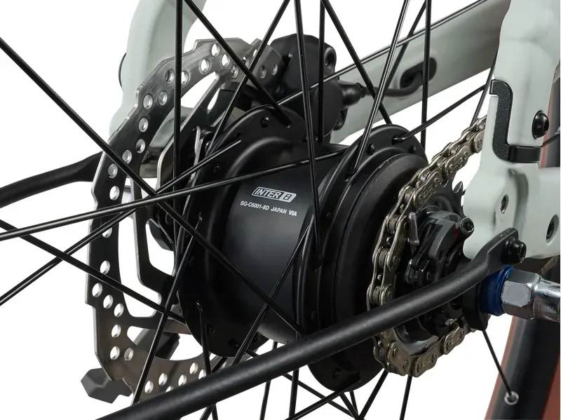 Liv Flourish E+ 2 Electric Bike in Mountain Air-5