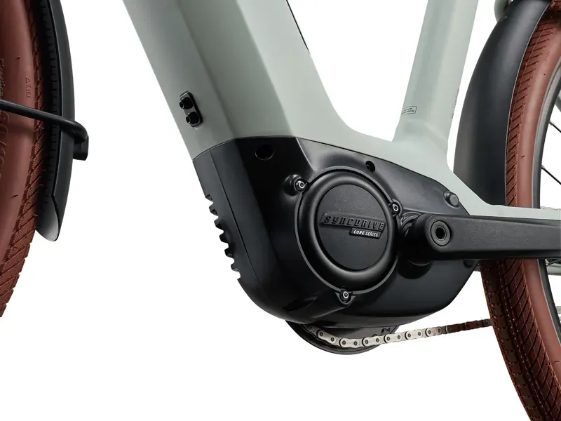 Liv Flourish E+ 2 Electric Bike in Mountain Air-4