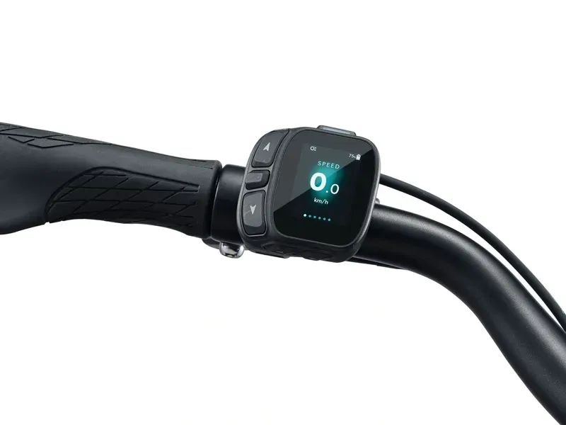 Giant NewTour E+ 2 DD Electric Bike in Cold Night-3