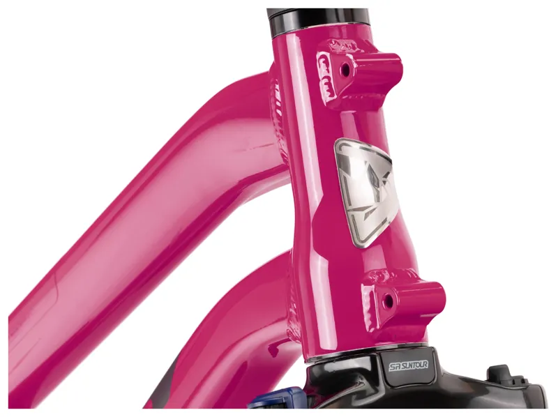 Tern HSD P5i Bosch Performance Electric Cargo Bikes Gen2 in Blue-Green-12