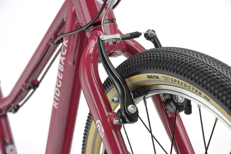 Ridgeback Dimension 20 Kids Bike for Age 5 upwards in Perfectly Plum-11