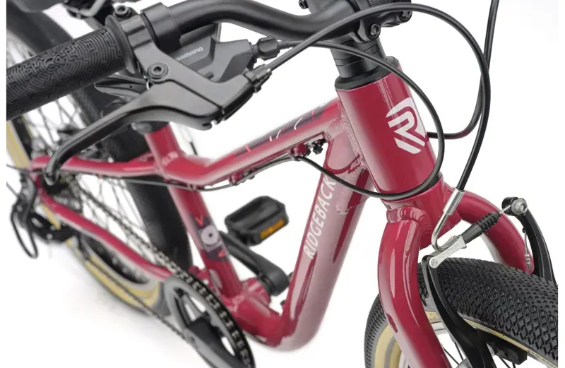 Ridgeback Dimension 20 Kids Bike for Age 5 upwards in Perfectly Plum-5