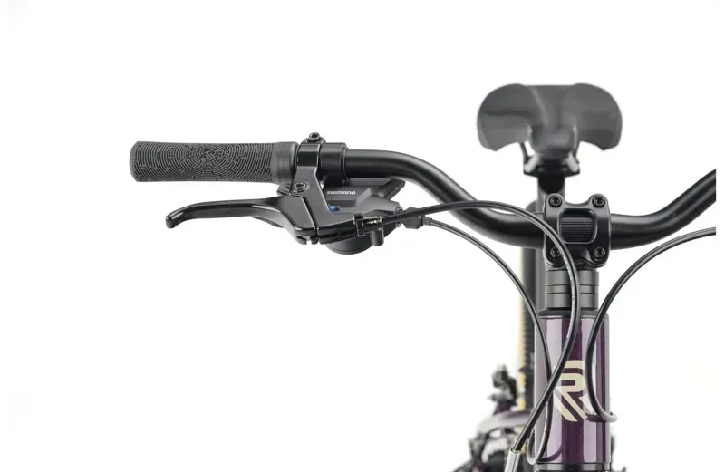 Ridgeback Dimension 24 Kids Bike for Age 8 to 12 Years Vanquish Violet-12