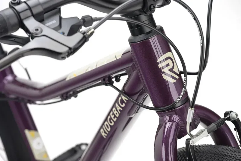 Ridgeback Dimension 24 Kids Bike for Age 8 to 12 Years Vanquish Violet-2