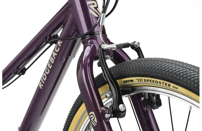 Ridgeback Dimension 24 Kids Bike for Age 8 to 12 Years Vanquish Violet-4